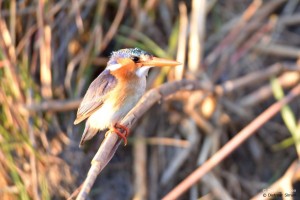 DS7_2479_bearbeitet-1