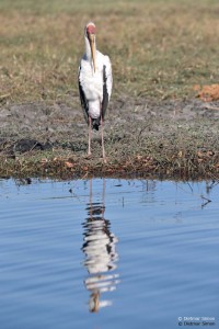 DS7_3289_bearbeitet-1