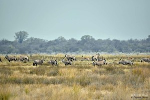 DS7_4790_bearbeitet-1