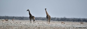 DS7_5021_bearbeitet-1