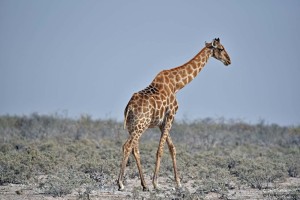 DS7_5039_bearbeitet-1
