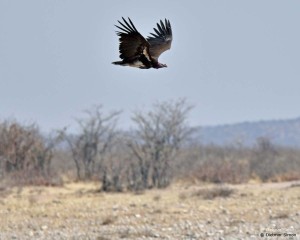 DS7_5454_bearbeitet-1