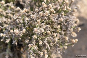 DS7_5827_bearbeitet-1