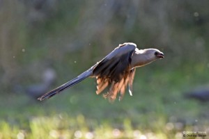 DS7_1351_bearbeitet-1