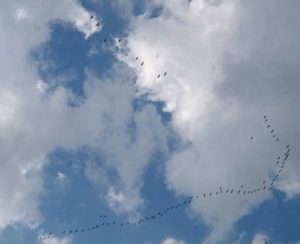 Norddeutschland_2016-25-1