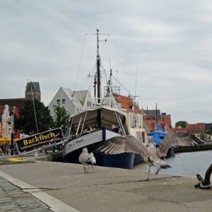 Norddeutschland_2016-28-1