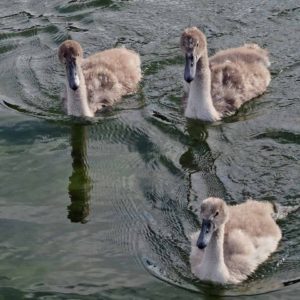 Norddeutschland_2016-29